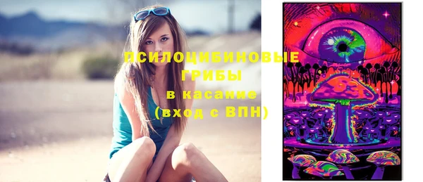 спайс Алексин