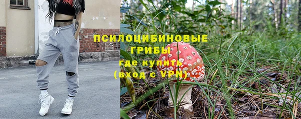 спайс Алексин