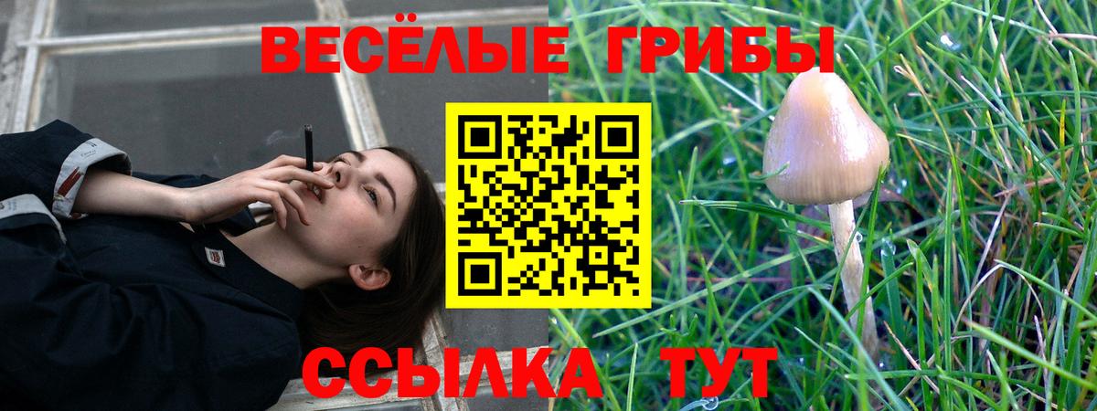 Галлюциногенные грибы GOLDEN TEACHER Краснотурьинск