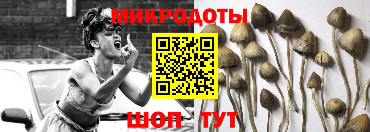 Псилоцибиновые грибы Magic Shrooms  Псилоцибиновые грибы Psilocybine cubensis  Краснотурьинск  Вход с VPN 